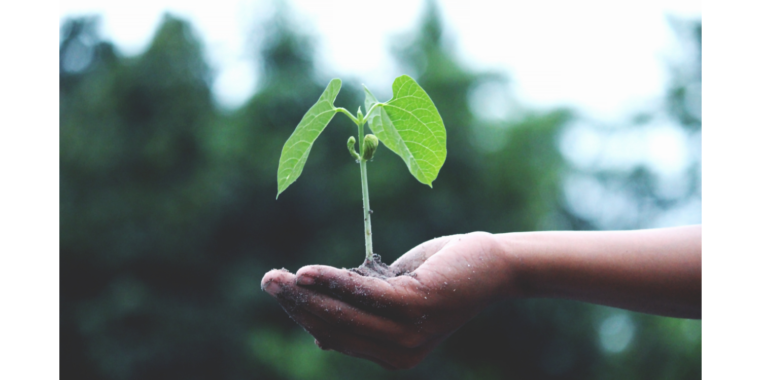 Big things from small