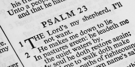 Psalm 23