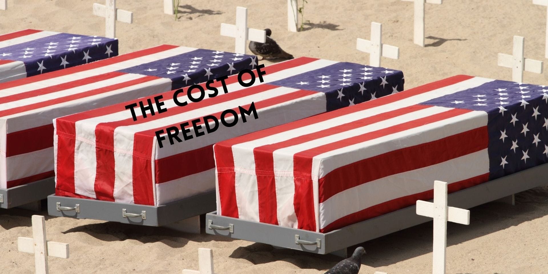 The Cost of Freedom (2)